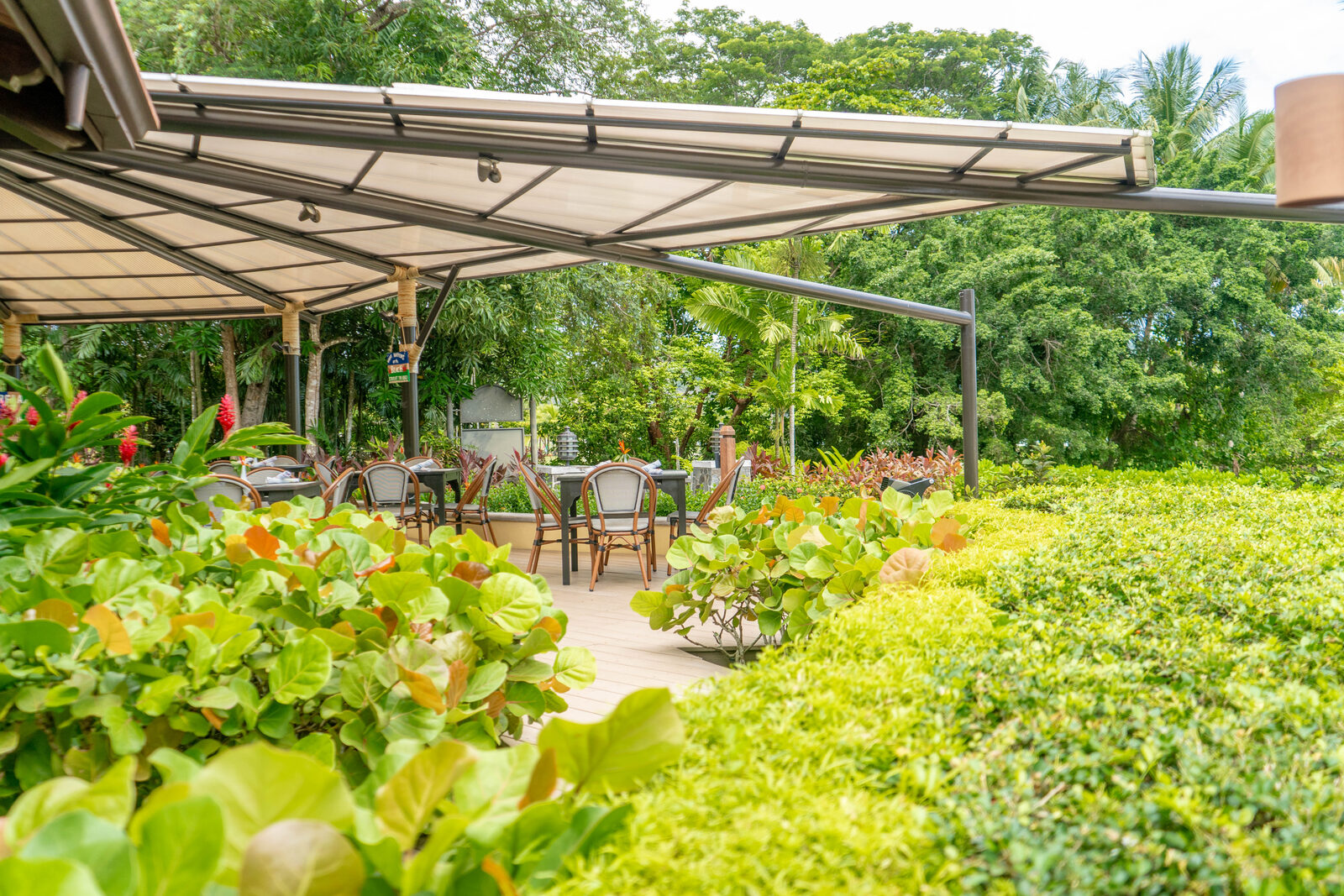 Dining & Food in Santa Teresa