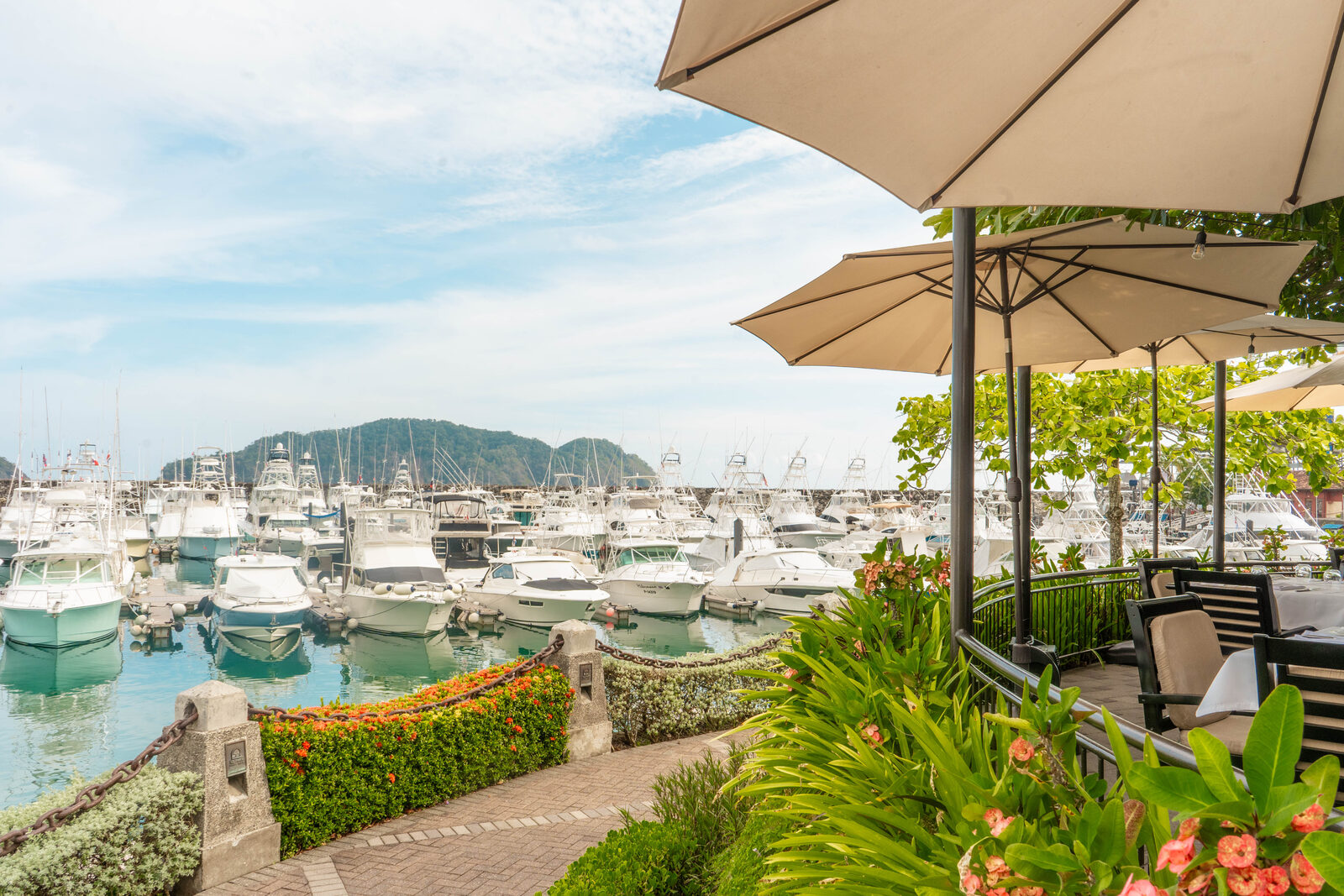 Sport Fishing in Los Sueños